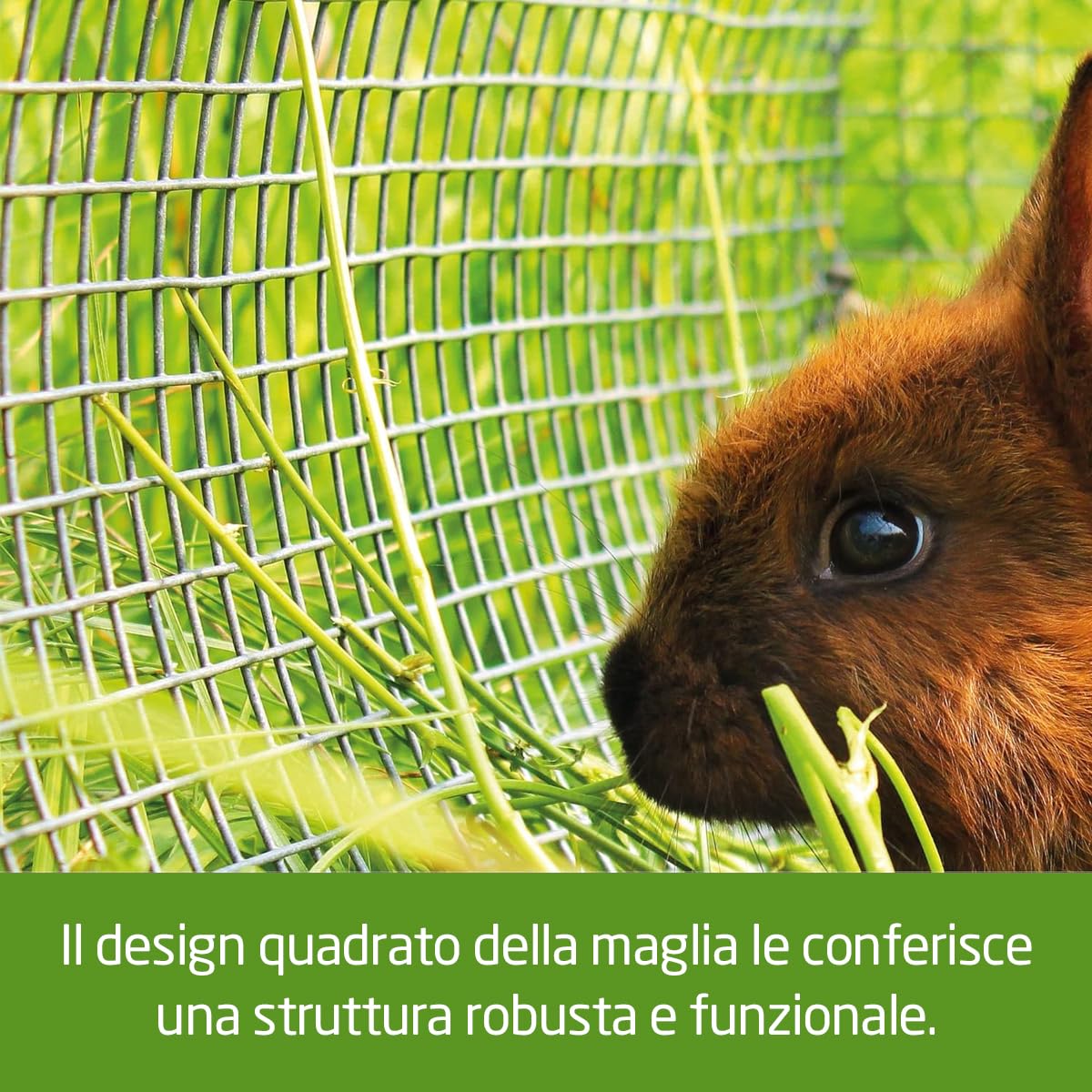 Amig - Rete Metallica Zincata Quadrata | Realizzato in acciaio zincato | Misure: 1 mx 5 m | Ideale per applicazioni di pollame, agricoltura, giardinaggio ed edilizia