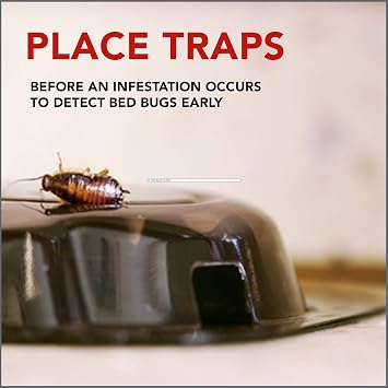 Raid Bed Bug Detector Trap, Use When Traveling or at Home, Detects Bed Bugs Early, 8 Count