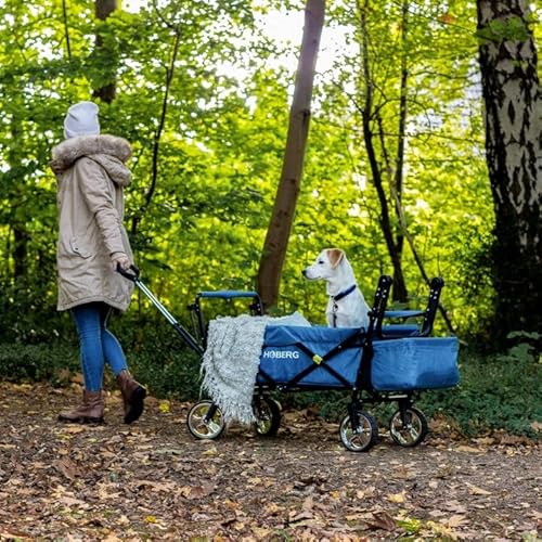 Hoberg Faltbarer Premium-Bollerwagen inkl. Dach (LSF30) | Getränkehalter, Kühltasche, Bremsen, Handwagen, Transportwagen [80kg Tragkraft/Blau] - 11