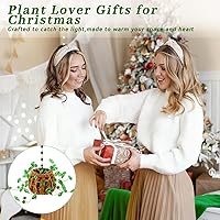 Vista 7 de Kit de plantas con cuentas, atrapasoles, suculentas, regalos para amantes de las plantas, atrapasoles de plantas para colgar en la ventana