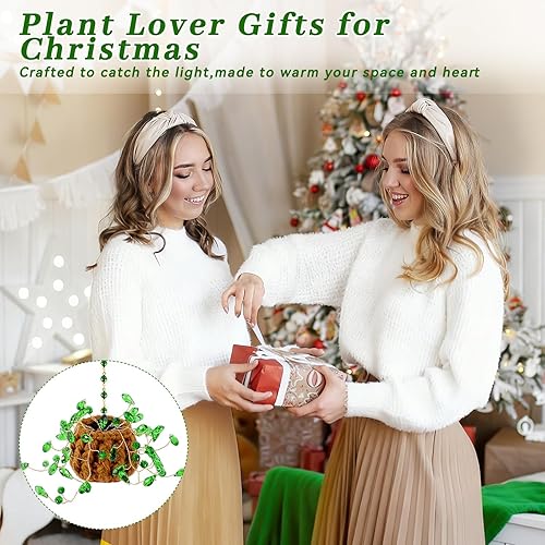 Miniatura 7 de Kit de plantas con cuentas para suculentas, atrapasoles de sol, regalos para amantes de las plantas, atrapa el sol suculenta para colgar en la