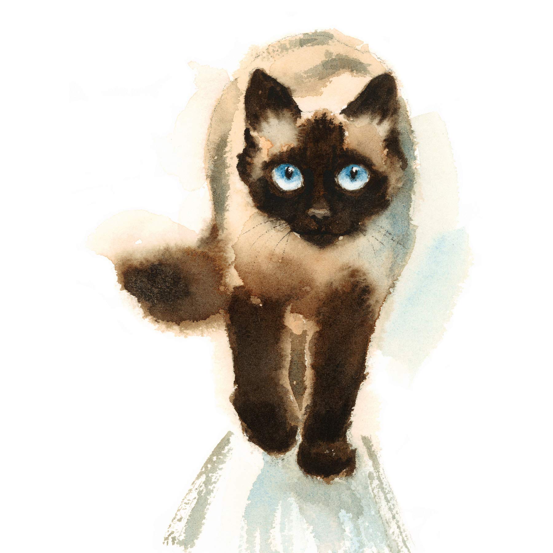 Wee Blue Coo Cat Ragdoll Walking Watercolour Art Print Poster Wall Decor