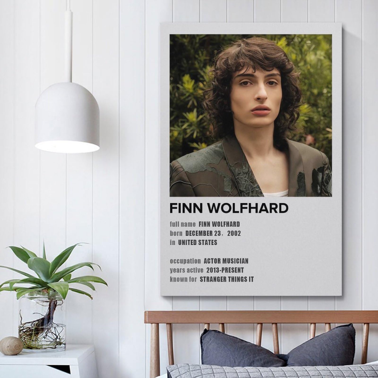 Amazon.com: Finn Wolfhard Canvas Poster - Vintage Art Music Movie