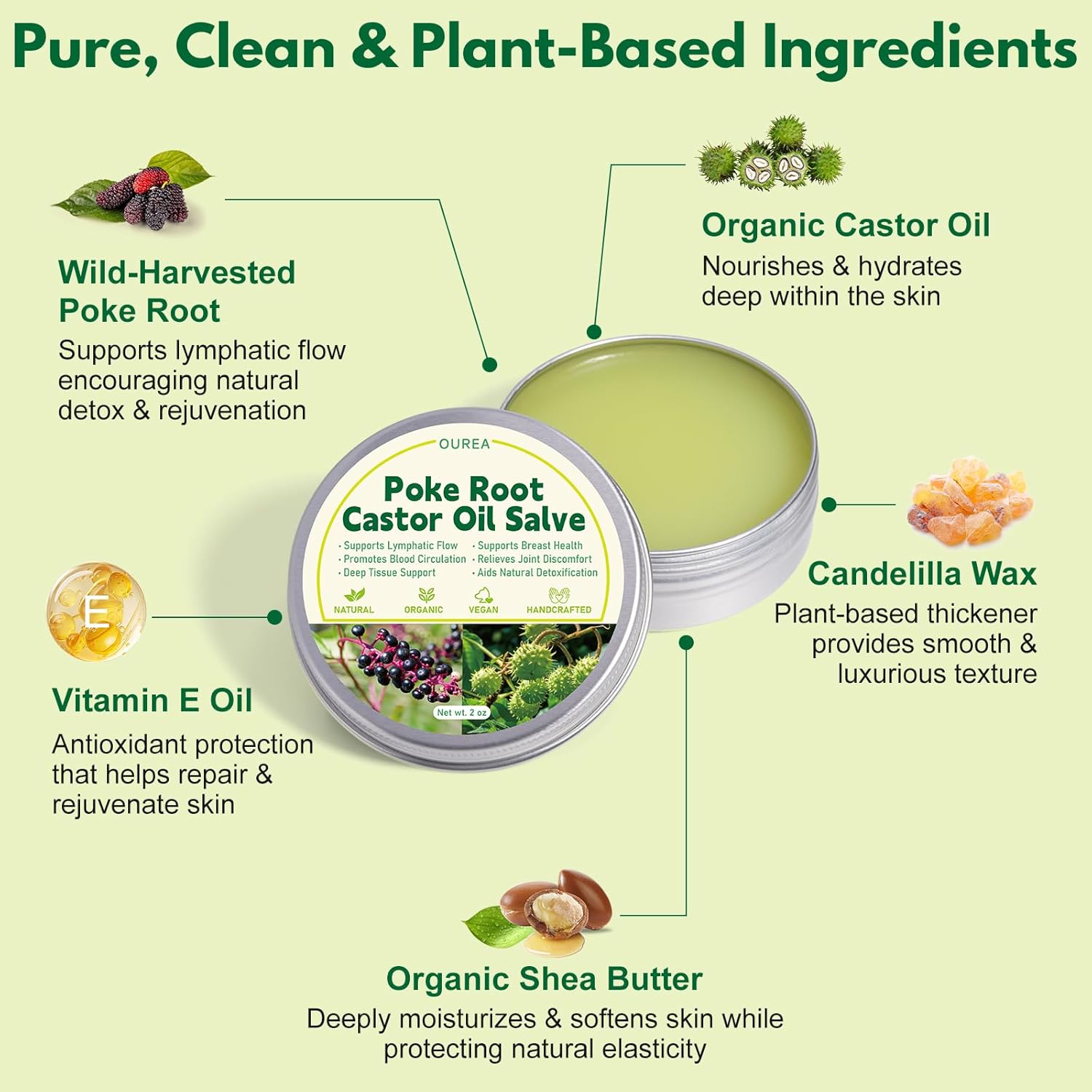 Poke Root Castor Oil Salve, Organic Lymphatic Support Massage Balm, Deep Tissue Ointment for Cyst, Boils, Breast, Fibroids, Swollen Lymph Nodes & Joint, Natural, Vegan - 2 Oz - Image 3