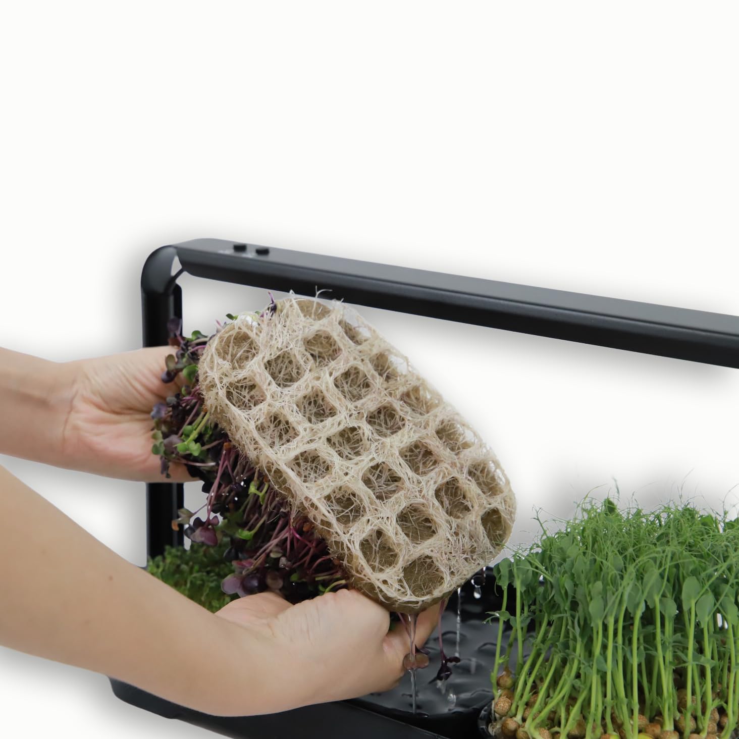 Microgreens Zestaw do uprawy w pomieszczeniach, do użytku wewnątrz i z oświetleniem LED, 3 mikrozielone tace do uprawy, 6 mat jutowych, zestaw do uprawy w pomieszczeniach i zestaw do
