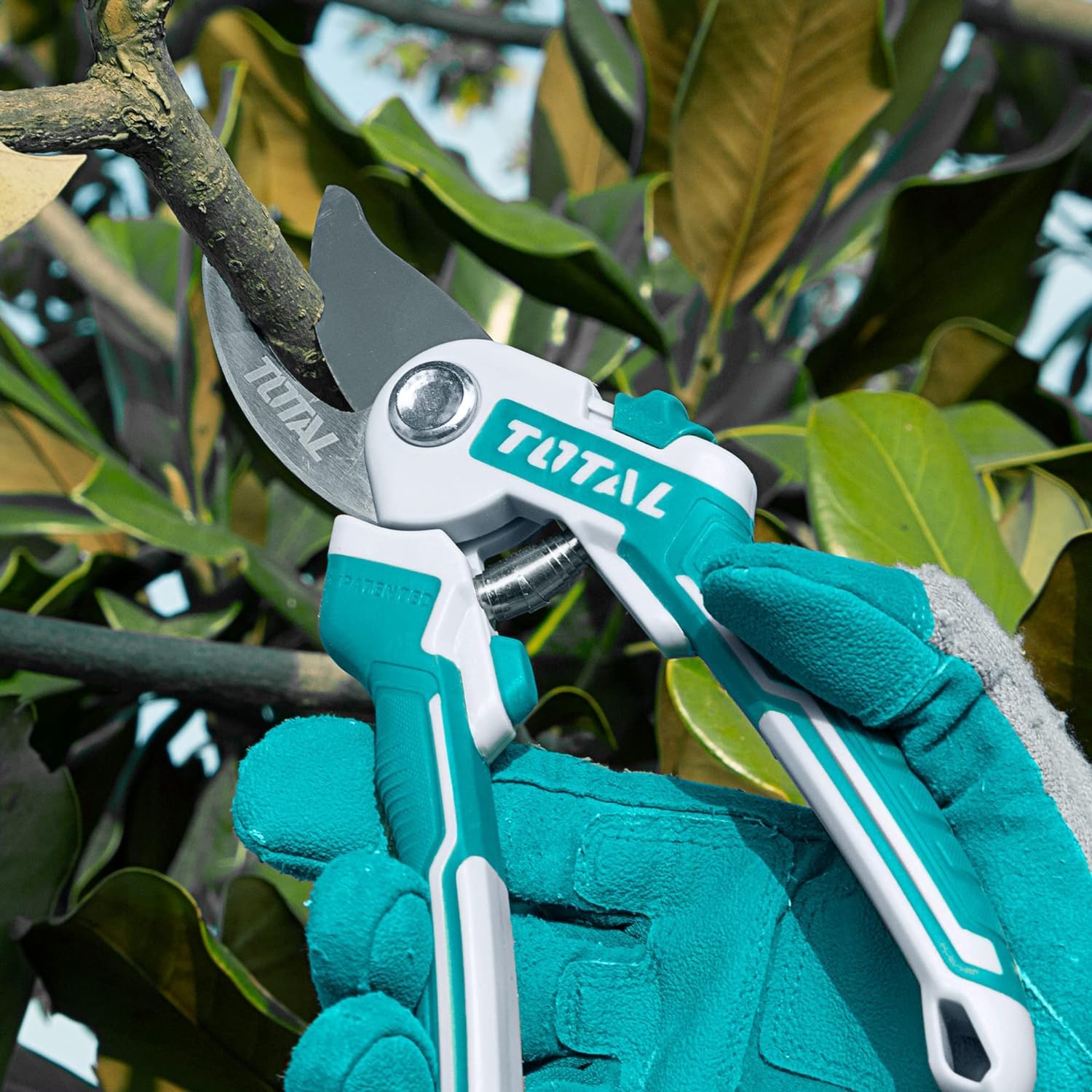 Total Tools - Ensemble de Coupe pour Jardinage Mod. THT1576033 - Set de 3 Ciseaux de Taille: 1 de 220 mm, 1 Cisaille à Haies de 580 mm et 1 à Deux Mains de 725 mm - Kit Complet pour Taille et Jardin