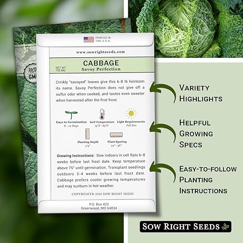 Miniatura 2 de Sow Right Seeds - Semillas de repollo Savoy Perfection para plantar - Paquete de reliquia sin OMG con instrucciones para plantar un huerto en el