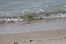 Review Image by Breanna Mason Breanna Mason