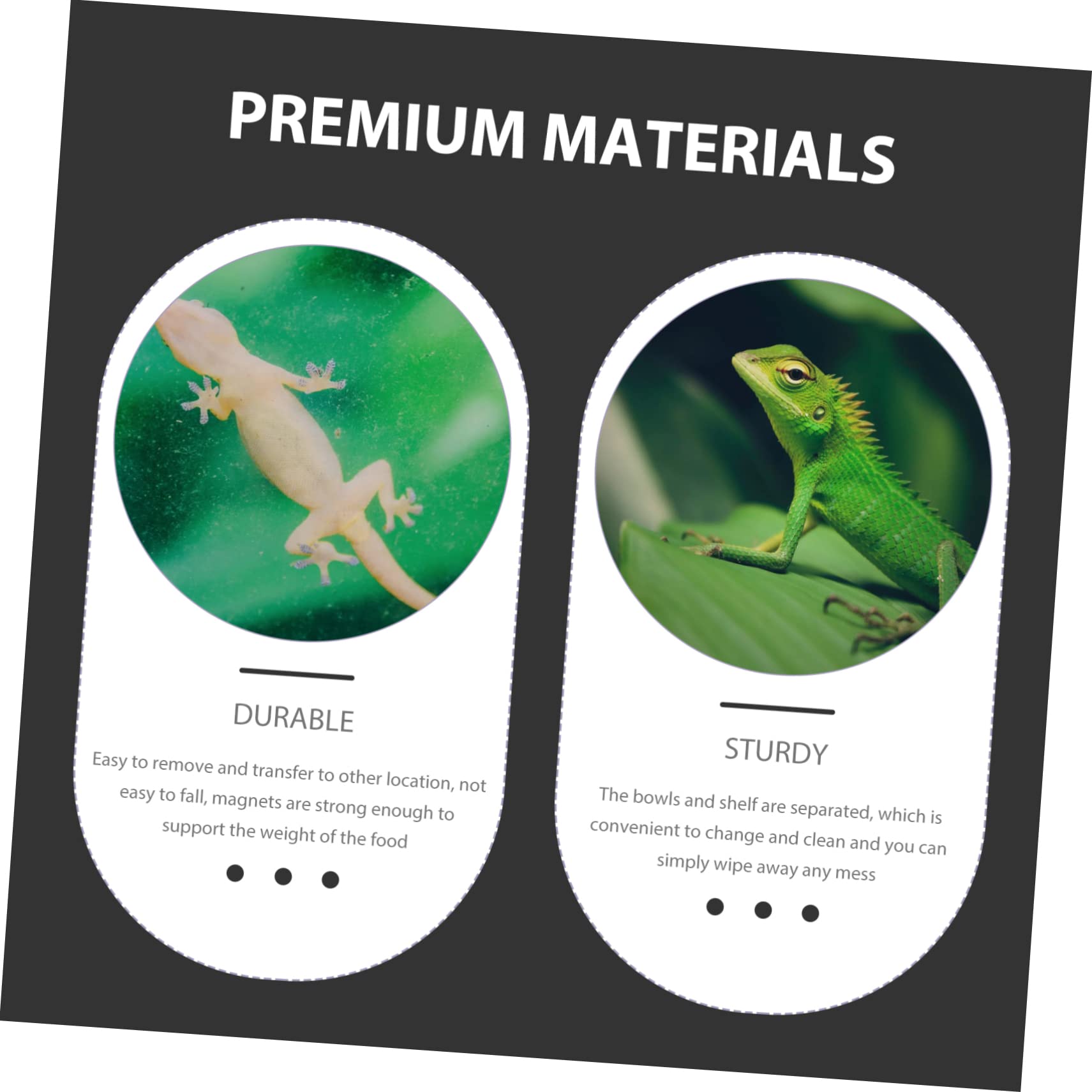 POPETPOP 5pezzi Ciotola per Rettili Mangiatoia per Lucertole e Insetti Dispenser Esotici Design Bave per Rettili
