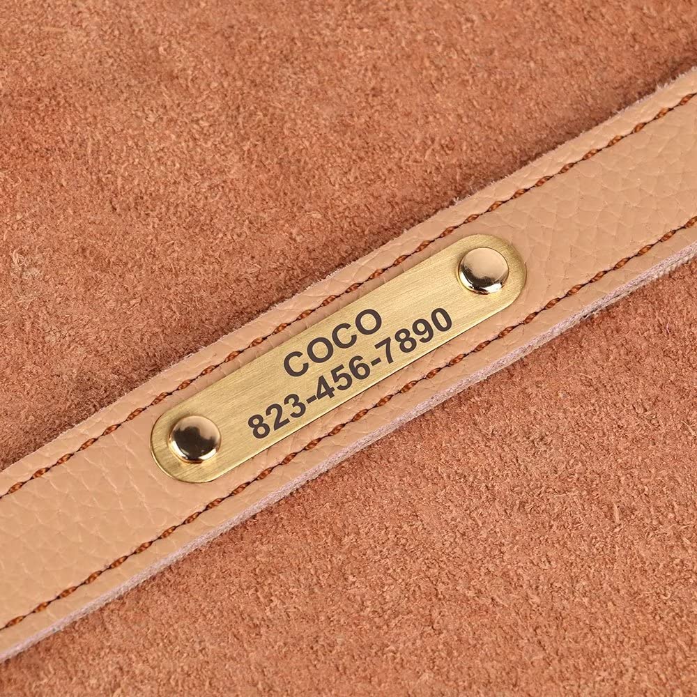 PET ARTIST Personalisiertes Hundehalsband Aus Leder – Größe M (30-40 Cm), Weich & Leicht