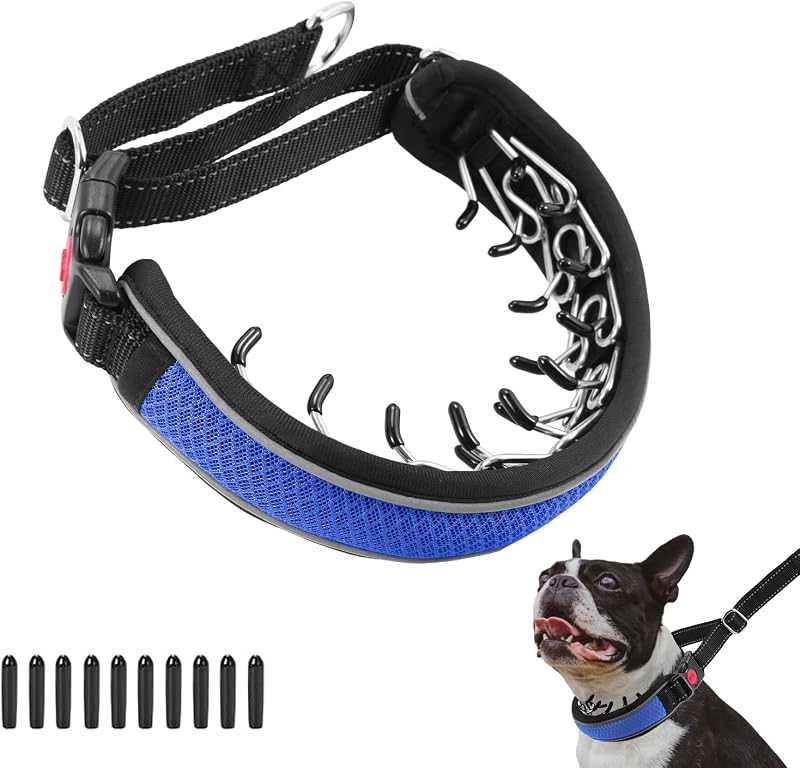 Coleira Martingale para Cães com Nylon Reforçado, Corrente de Aço Inoxidável, Refletiva e Ajustável AaufiLux M Blue