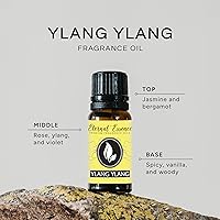 Vista 297 de Trio (3) - Sándalo, Bosque de Laurel y Incienso - Set de Aceite Perfumado Premium - 10 ml