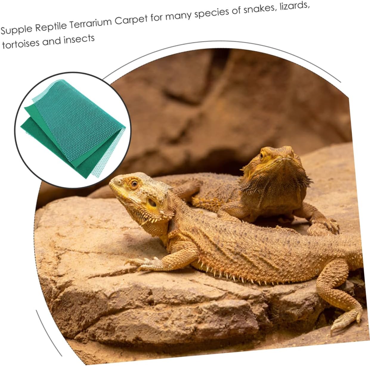 1set Cage Mat for Reptiles Tortoise Box Pad Reptile Heating Pad Indoor Habitat Terrarium Liner