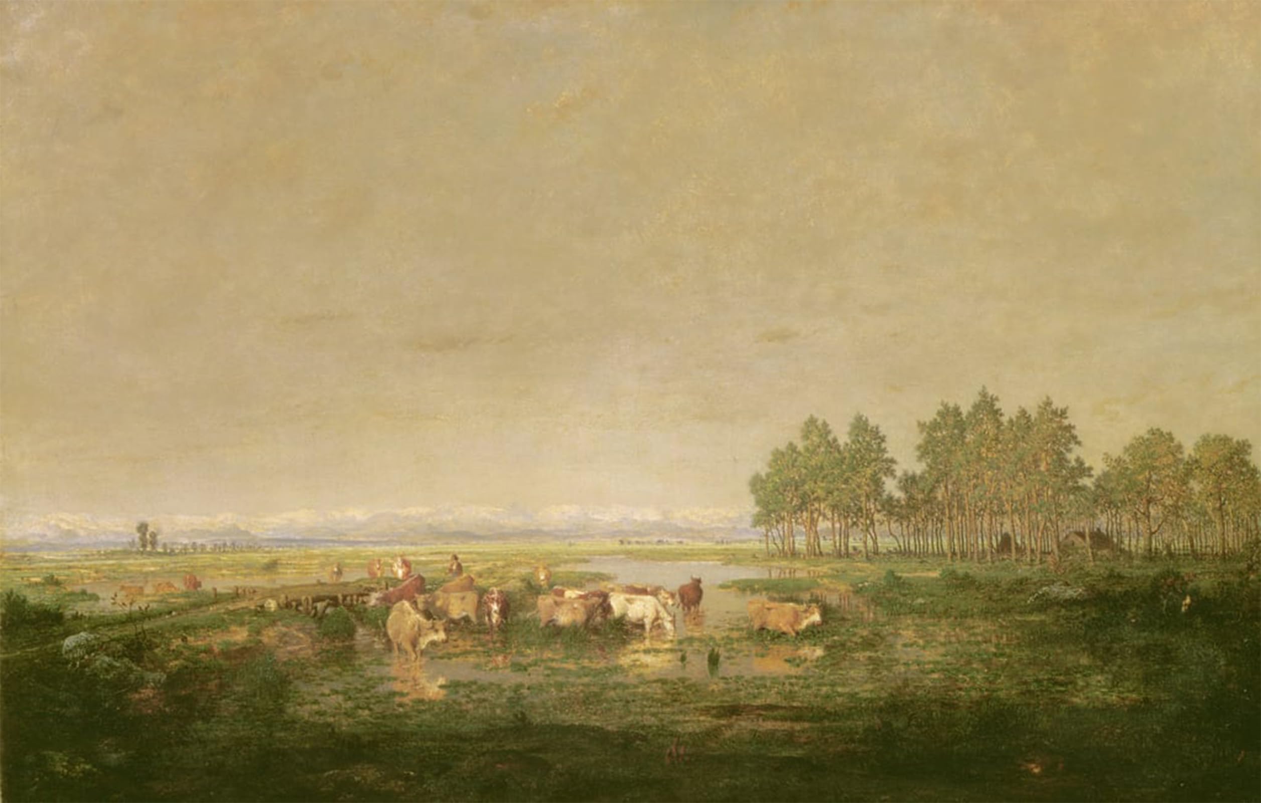 POSTERIIk Famous Print Pop Art Wall Art Graffiti Marshland in the Landes by Pierre Etienne Theodore Rousseau Art Prints for Home Decor 60x90cm