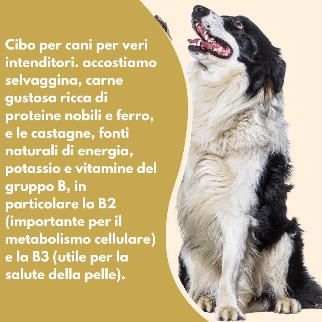 Natural Code - Comida húmeda para perro número 403, sabor de caza con castañas, alimento completo en desfiles para perros adultos de todas las tallas y razas en lata. 6 latas de 400 gramos cada una, 6