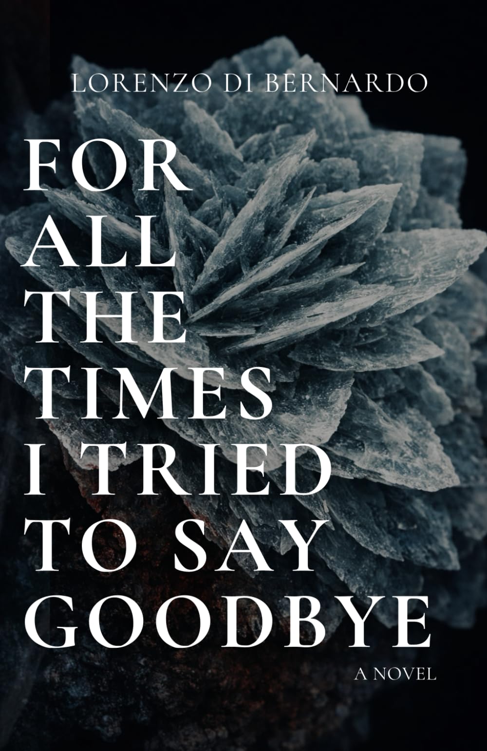 For All the Times I Tried to Say Goodbye: A slow-burn psychological drama of grief, longing, and choices—for readers who love emotional suspense, slow-burning intimacy. A story that stays with you.