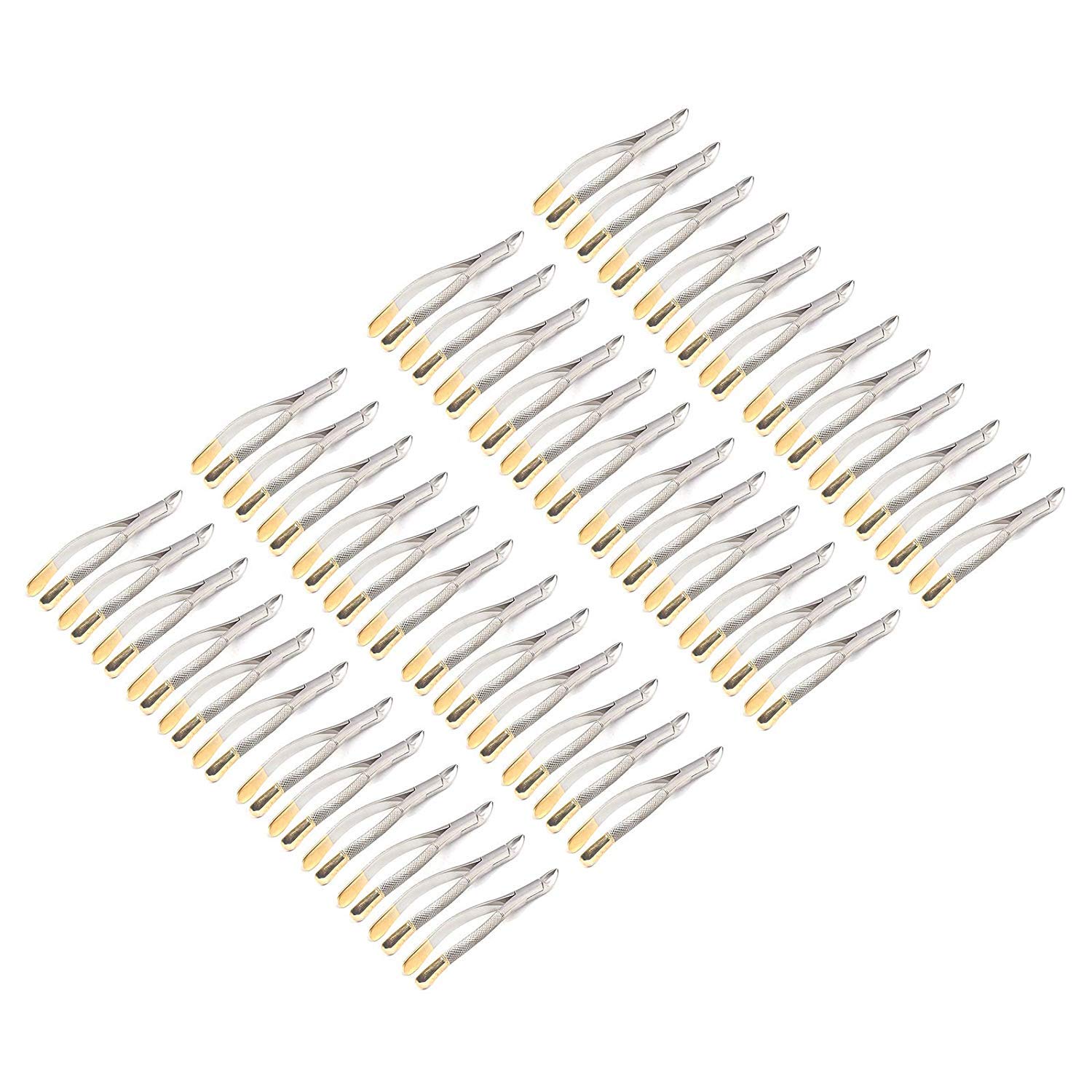 OdontoMed2011 Set Of 50 Dental Extracting Forceps 150 Gold Handle Dental Extraction Instruments ODM