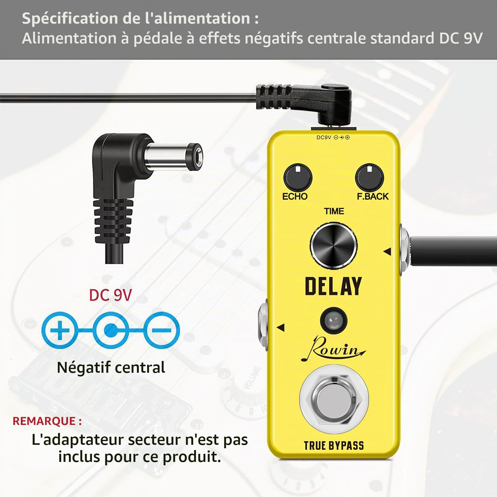 Rowin Guitar Delay Pedal Analog Classicl Delay Effect with True Bypass Switching, Fully Analog Circuit Universal for Guitar