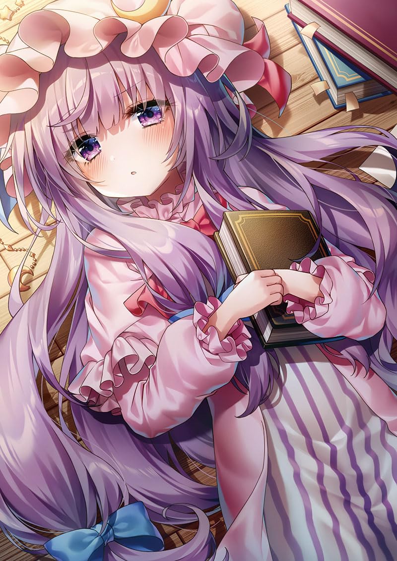 Amazon.co.jp: Touhou Clear File Patchouli (Picture:Shalom Purin