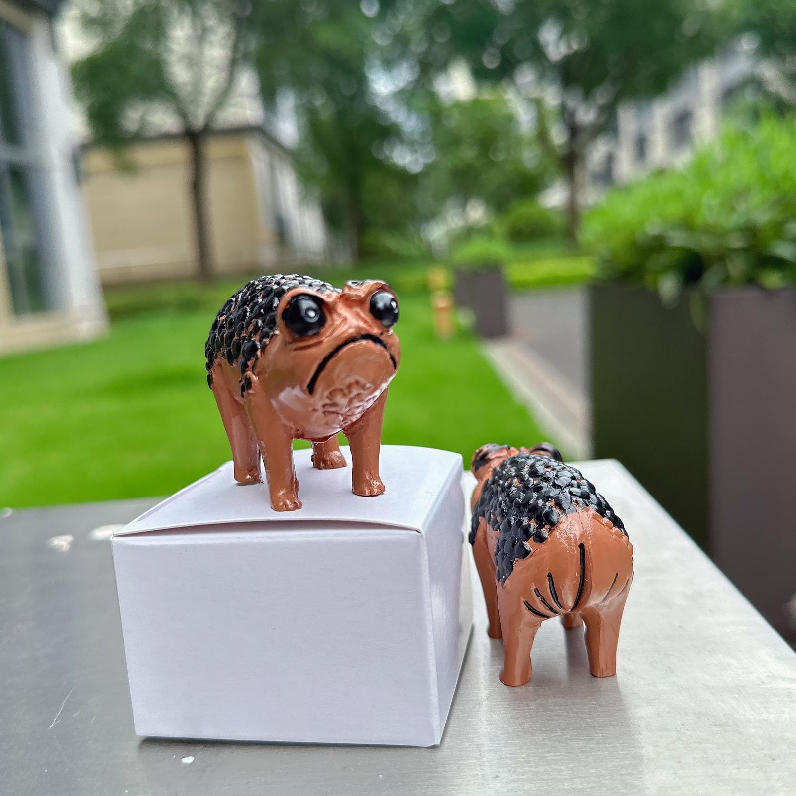Yurtziru 1Pcs African Dwarf Frog Angry Toad Cute African Rain Frog