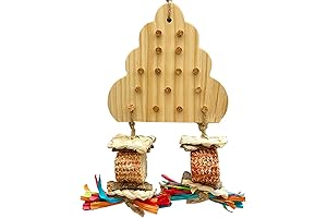 Conure Toys: A Haven for Exploring Their Habitat Range