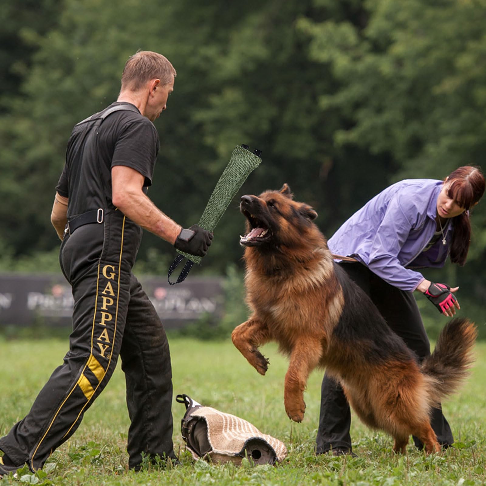 Manicotto per Cani 30 cm Giocattolo per Cani Salsiccia con 2 Maniglia per Addestramento Gioco Cuscino da Morso Interattivo (Verde)