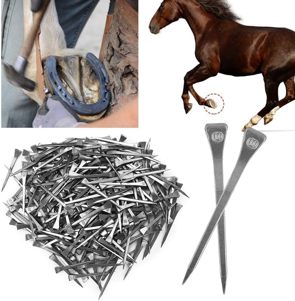 Cyrank 250PCS Horseshoe Nails, Horseshoe Nail Steel 2.13 Inches E6, Horse Shoe Nails Horseshoe Tools Stainless Steel Horseshoe Horse Hoof Peg Securing Nails Tools for Horse Training Equestrian Sports