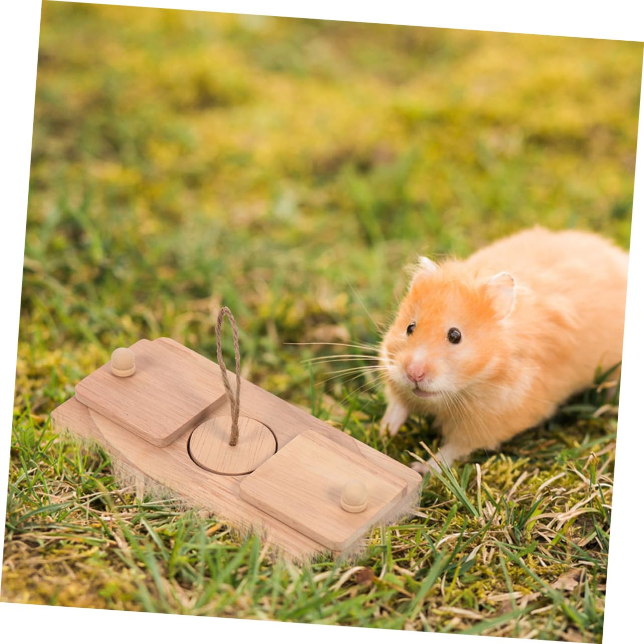 Hohopeti Hamster Leckerlis Versteckspielzeug für Käfig