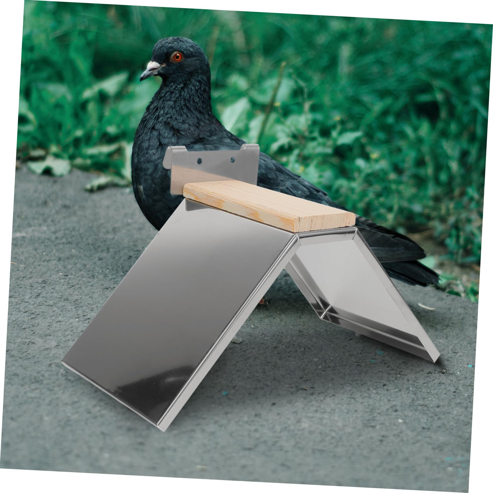 Kisangel 6 Piezas Percha para Palomas Soporte para Loros Soporte para Descanso Estante De Entrenamiento para Loros Juguete para Mascotas Jaula para Pájaros Percha Accesorios para
