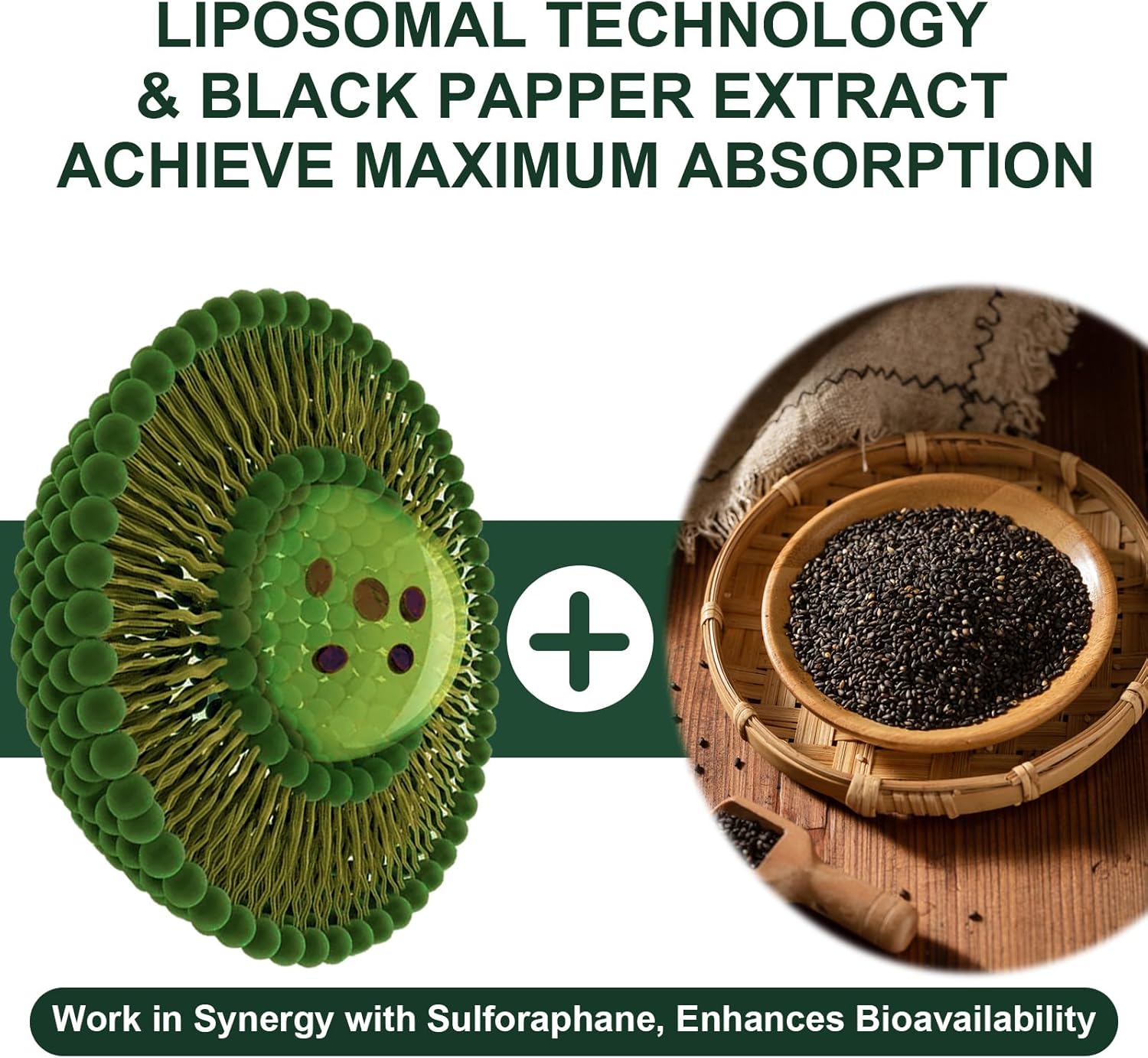 900MG Liposomal Sulforaphane Supplement Broccoli Extract, Liver Supplement for Antioxidant, Digestion, Cellular Health 180 Capsules - Image 3