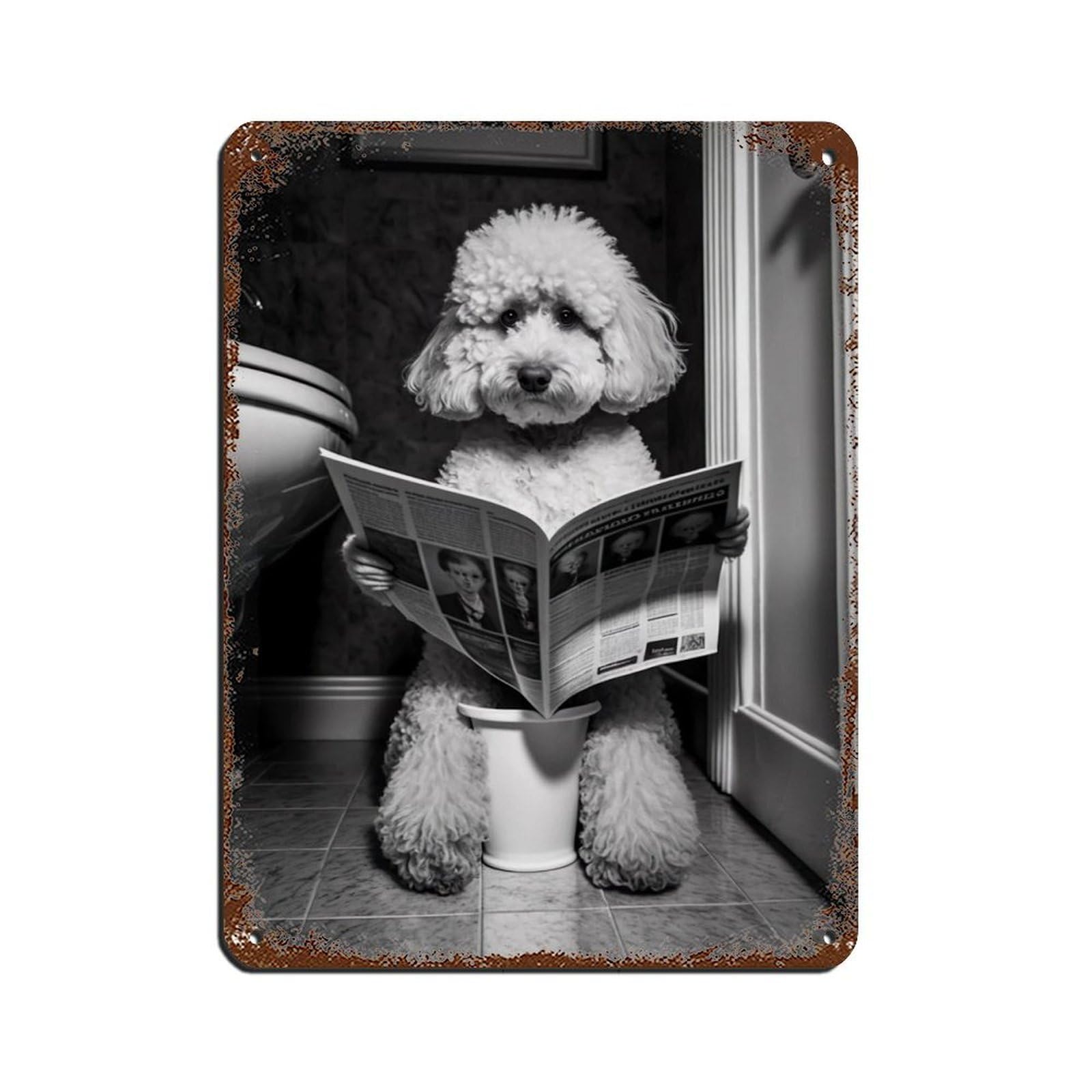 Poodle Sitting on The Toilet Reading A Newspaper Tin Sign Vintage Metal Pub Club Cafe Bar Home Wall Art Decoration Poster Retro 12x16inch(30x40cm)