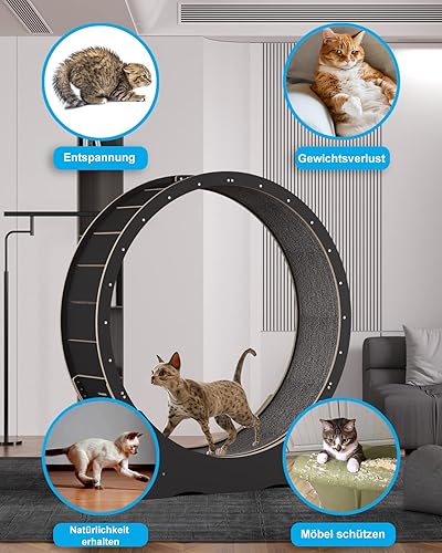 Miniatura 3 de Ejercitador de ruedas para gatos de interior con pasador de bloqueo. Diámetro interior 40 pulgadas/39.4 in. Rueda de ejercicio para gatos de gran