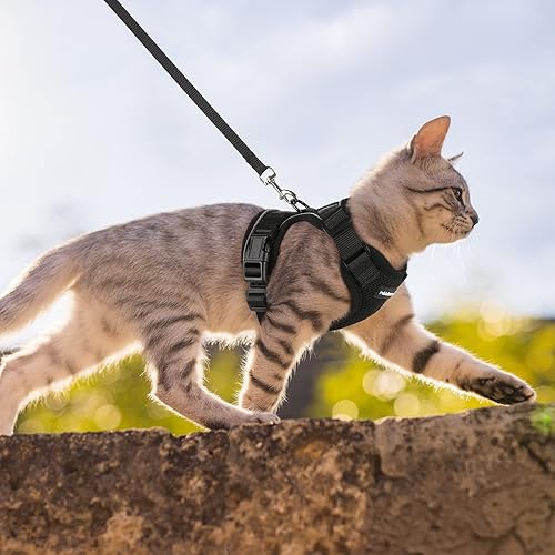 Miniatura 33 de rabbitgoo Arnés y correa para caminar, a prueba de escapes, chaleco suave y ajustable para gatos, fácil de controlar, transpirable, tiras
