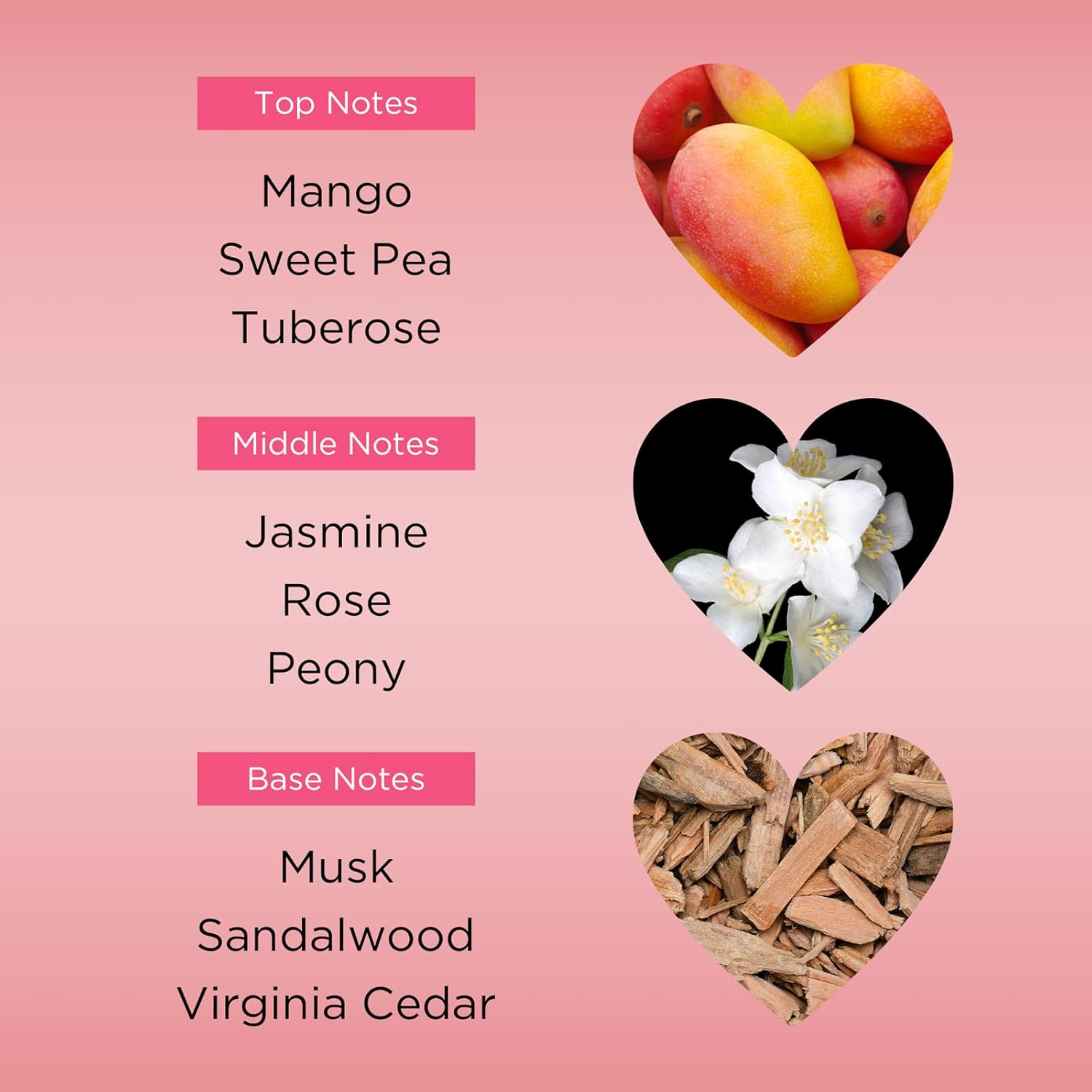 Bebe Silver Body Mist - Body Spray for Women with Mango, Tuberose, Peony, Jasmine, Rose, Cedarwood, Musk, and Sandalwood Fragrance Mist - 8.4 oz - Image 3