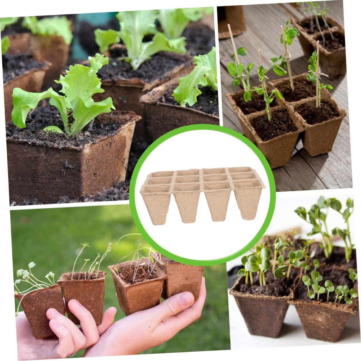 Toddmomy Keimschale Für Indoor-anbau Starter Für Blumen Und Gemüse Anzuchtschale Mit Keimpapierstation Biologisch Abbaubar Praktisch Für Anzuchttopf