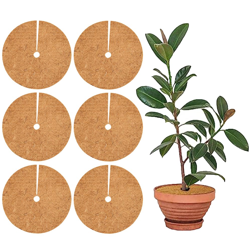 ADDLIVE Kokosmatten Winterschutz 6 Stück - 35cm Rund Für Kübelpflanzen Frostschutz