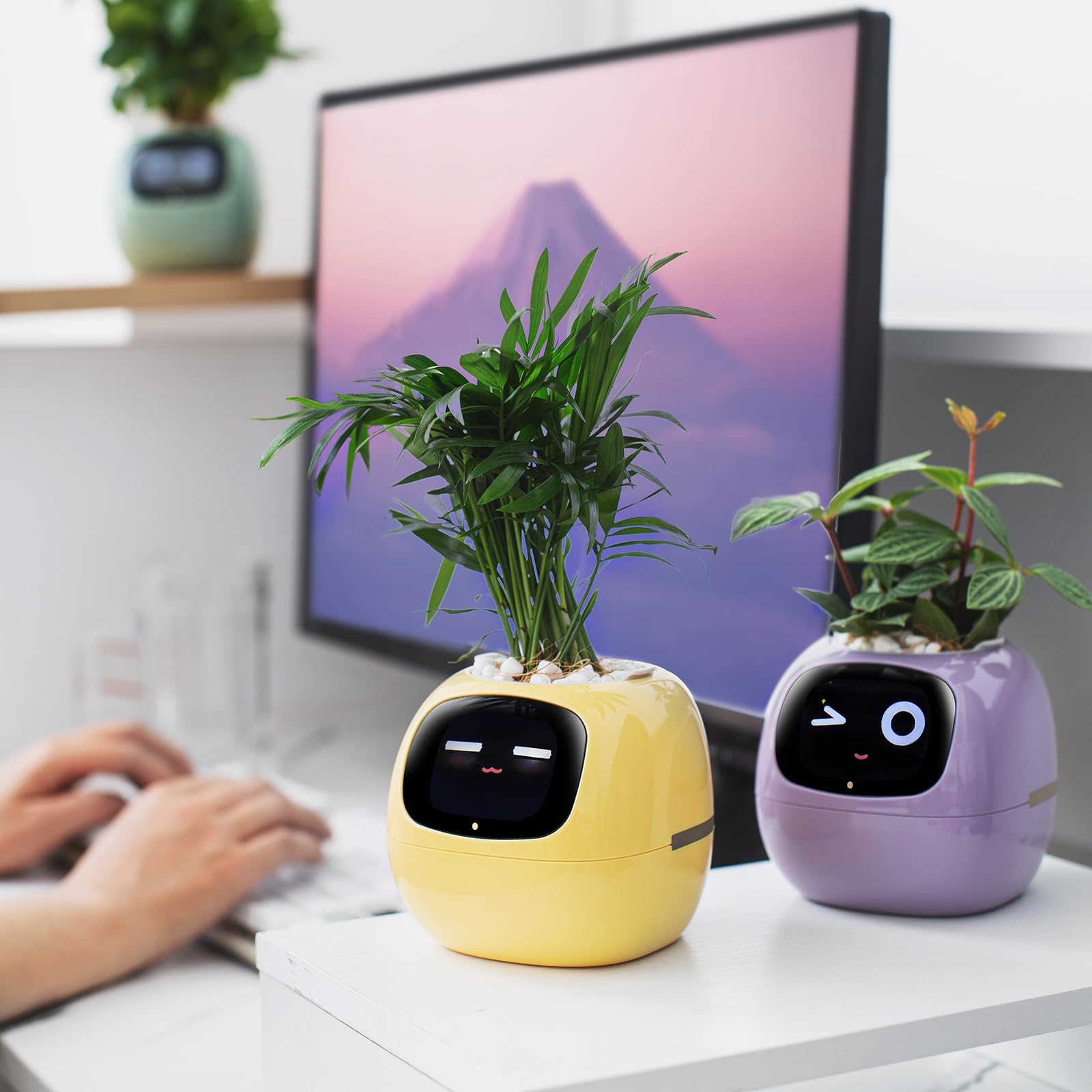 PLANTSIO Ivy - Intelligenter Pflanzentopf für Hausdekoration, Pflanzen, Begleiter, Schreibtisch-Setup, Geschenk für Zuhause, Pflanzentopf für Haustiere, Roboter-Pflegehinweise