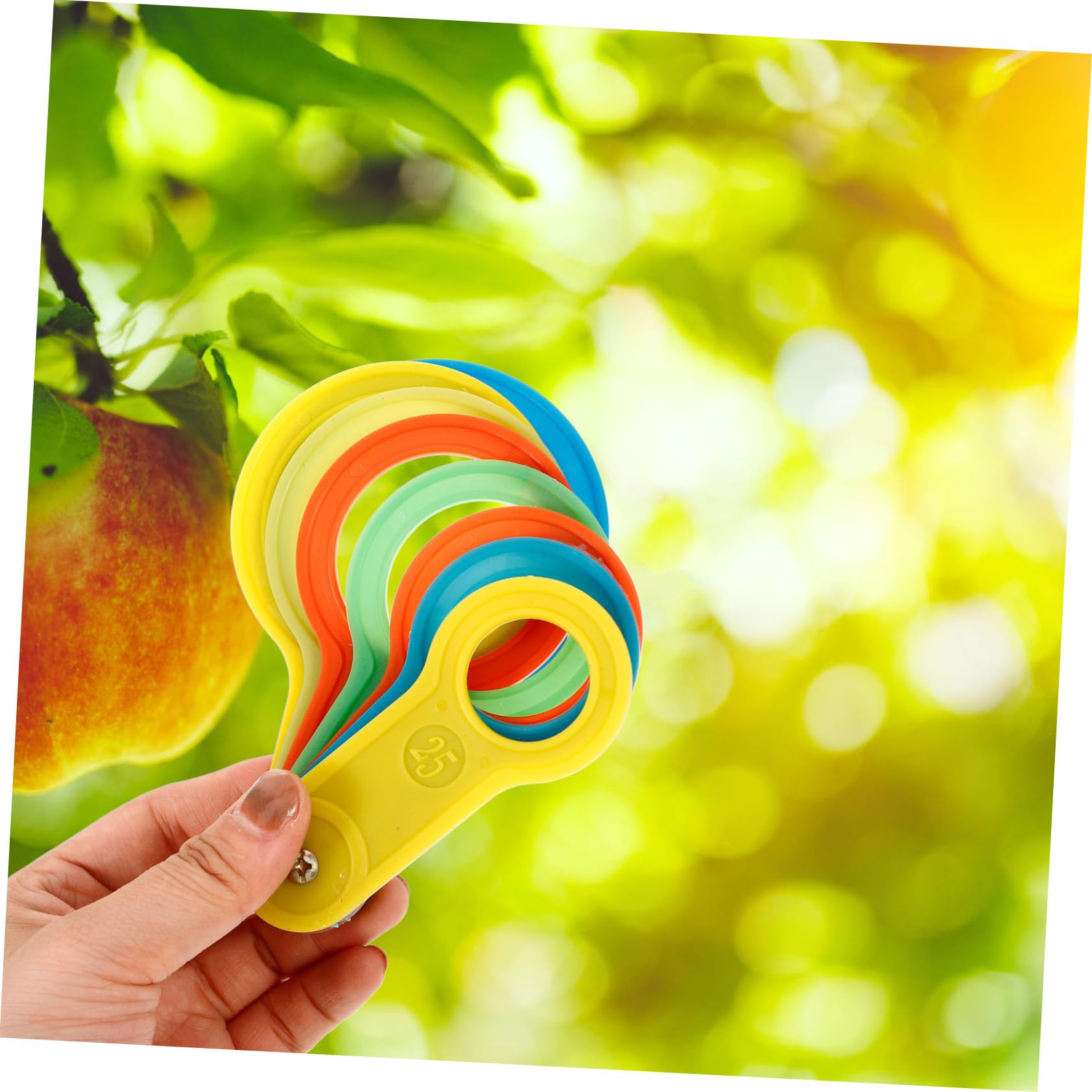 COSMEVIVI 2 Sets Fruit Measuring Circle Diameter Tool Fruit Instruments for Accurate Size Measurement