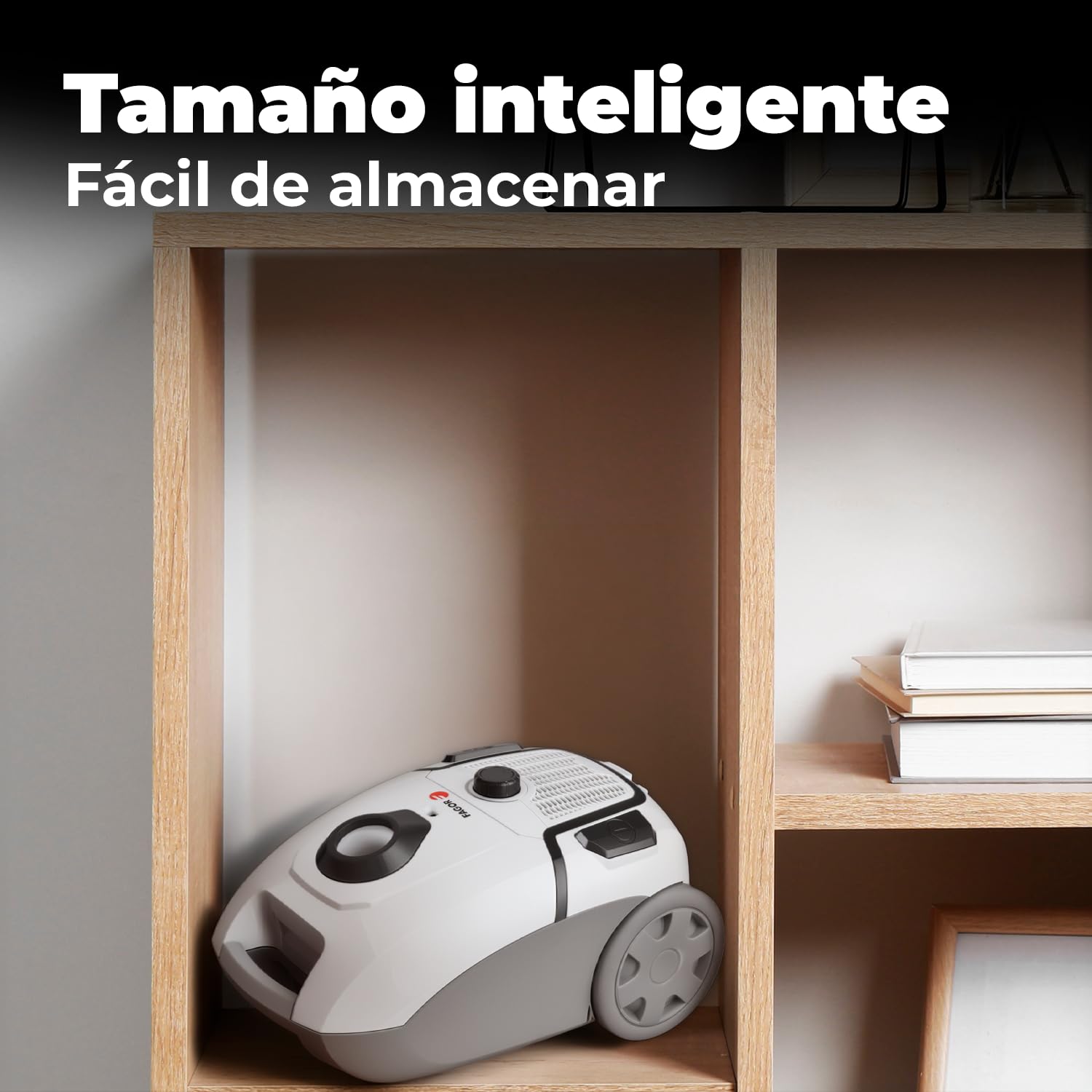 Aspiradora con Bolsa Potente 17kPa, Aspirador Trineo 800W para Hogar y Mascotas, Gran Capacidad 4L, Filtro Alta Eficiencia, Limpieza Profunda en Suelos y Alfombras,FAGOR Ares Essential Dupla.