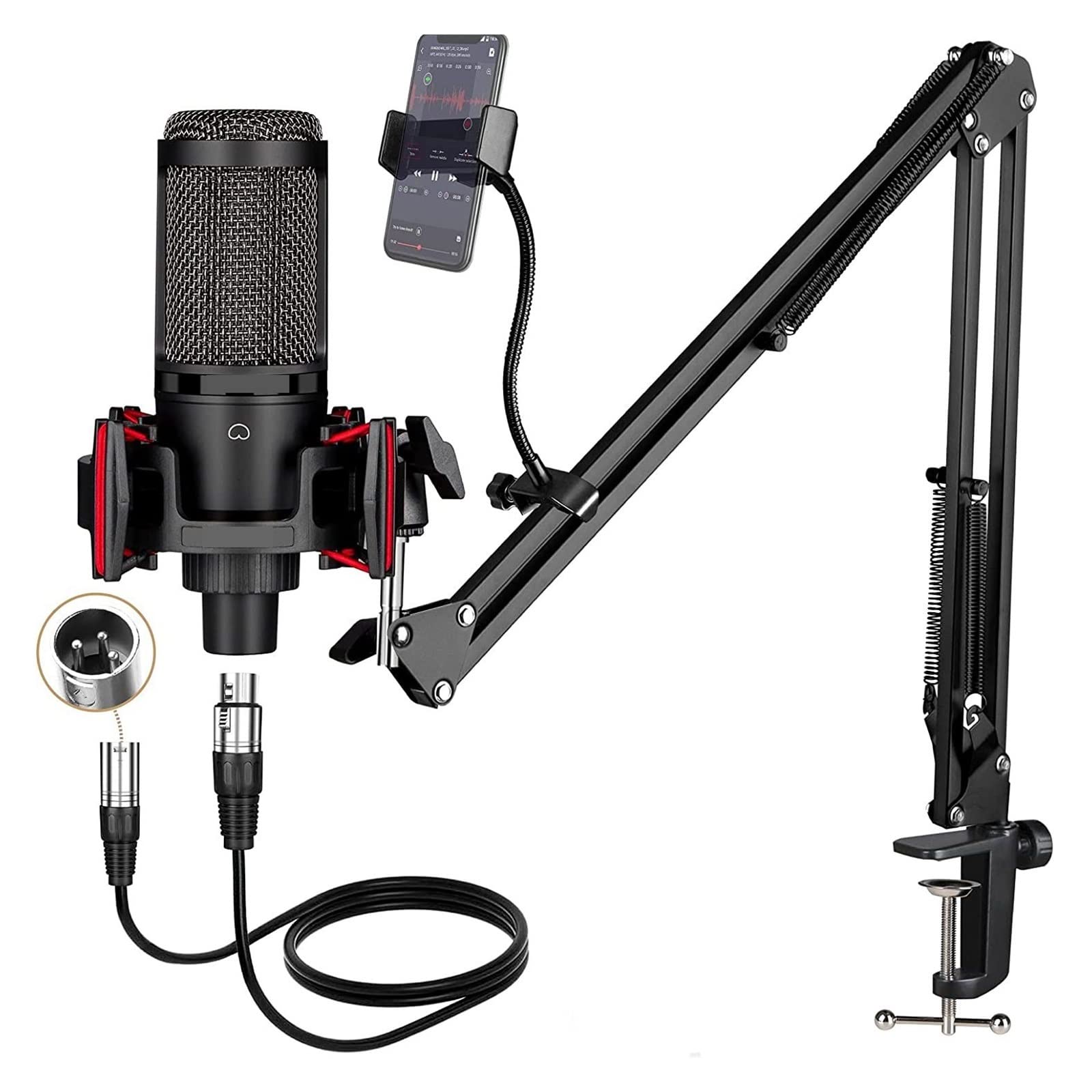 Microphone XLR pour studio de doublage et voix off avec suspension sur bras