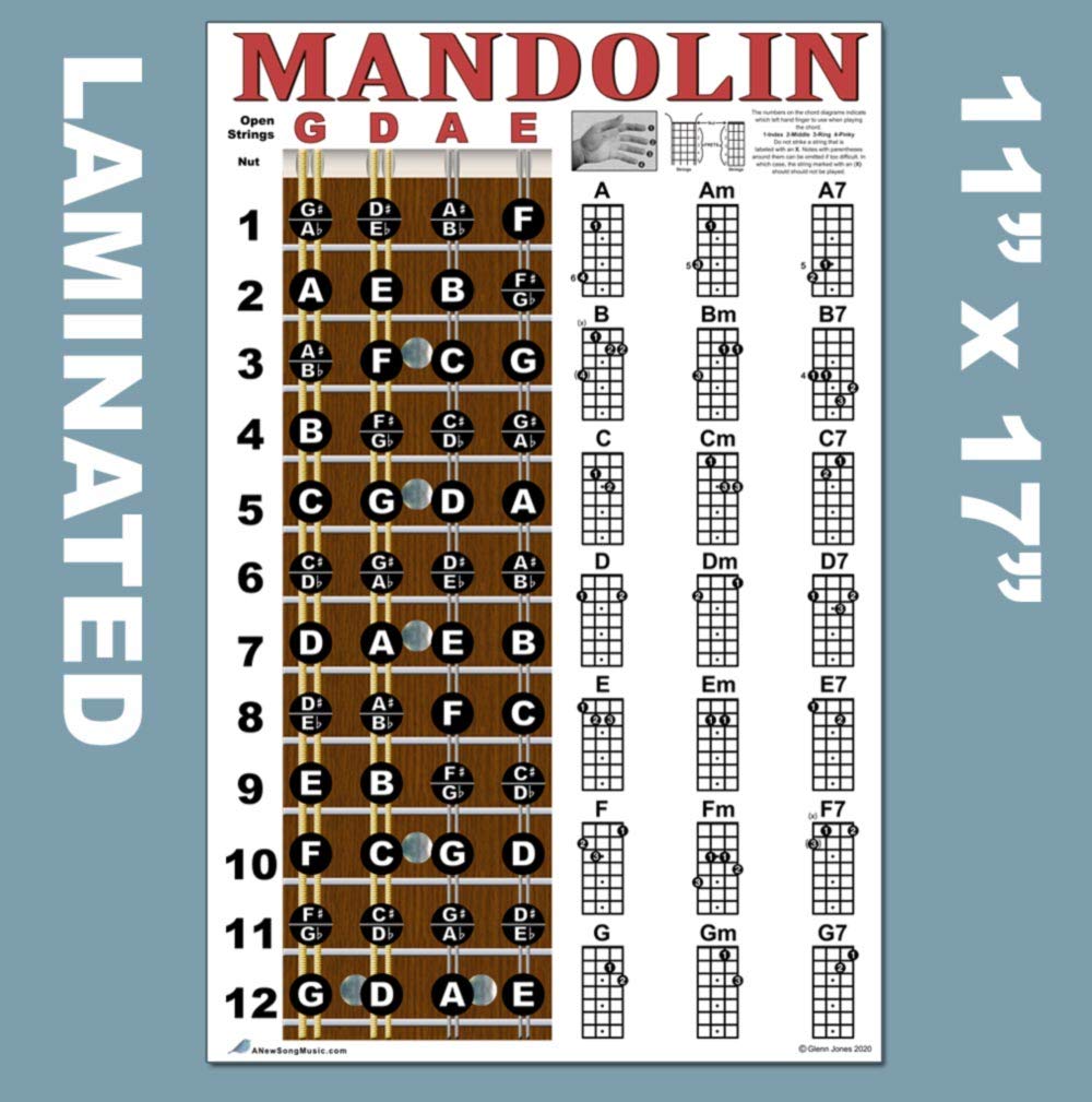 Buy Laminated Mandolin Fretboard Notes & Easy Beginner Chord Chart 11