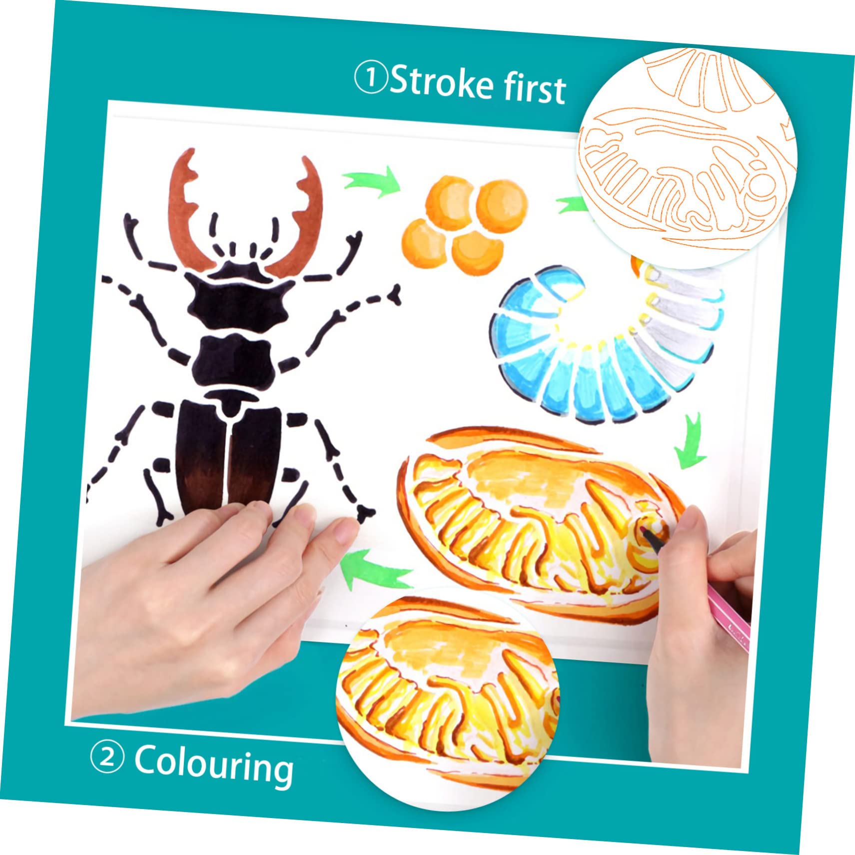 SHINEOFI 3 Set Di Stencil Riutilizzabili Per Animali Per Bambini 4 Modelli Di Ciclo Di Crescita Stencil Per Pittura E Disegno Per Bambini Forniture Per Artigianato 4 Fogli*3