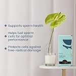 Bird&Be Male Fertility Supplements - Men's Prenatal Vitamins for Sperm Support + Preconception Health, Motility & Count – with L-Carnitine, CoQ10, DHA – All in One Male Fertility Power Pack