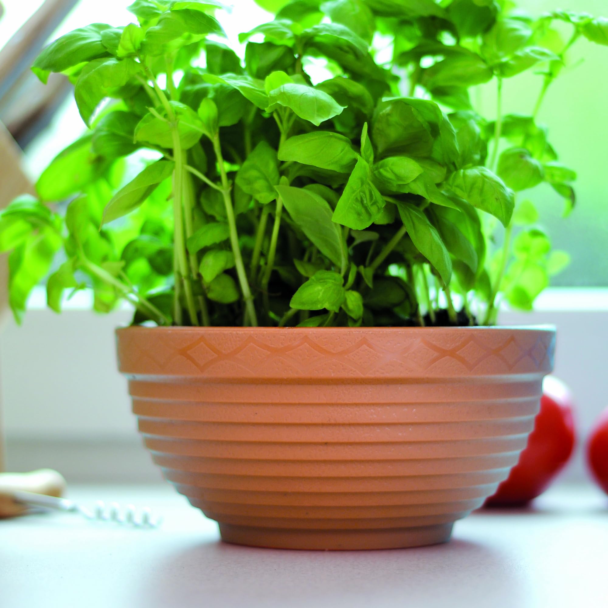 botle Pflanzschale Runder Pflanztopf 3 L Terrakotta  26 cm Kunststoff, fr  Blumenarrangements, Hhe 11,3 cm: Amazon.de: Garten