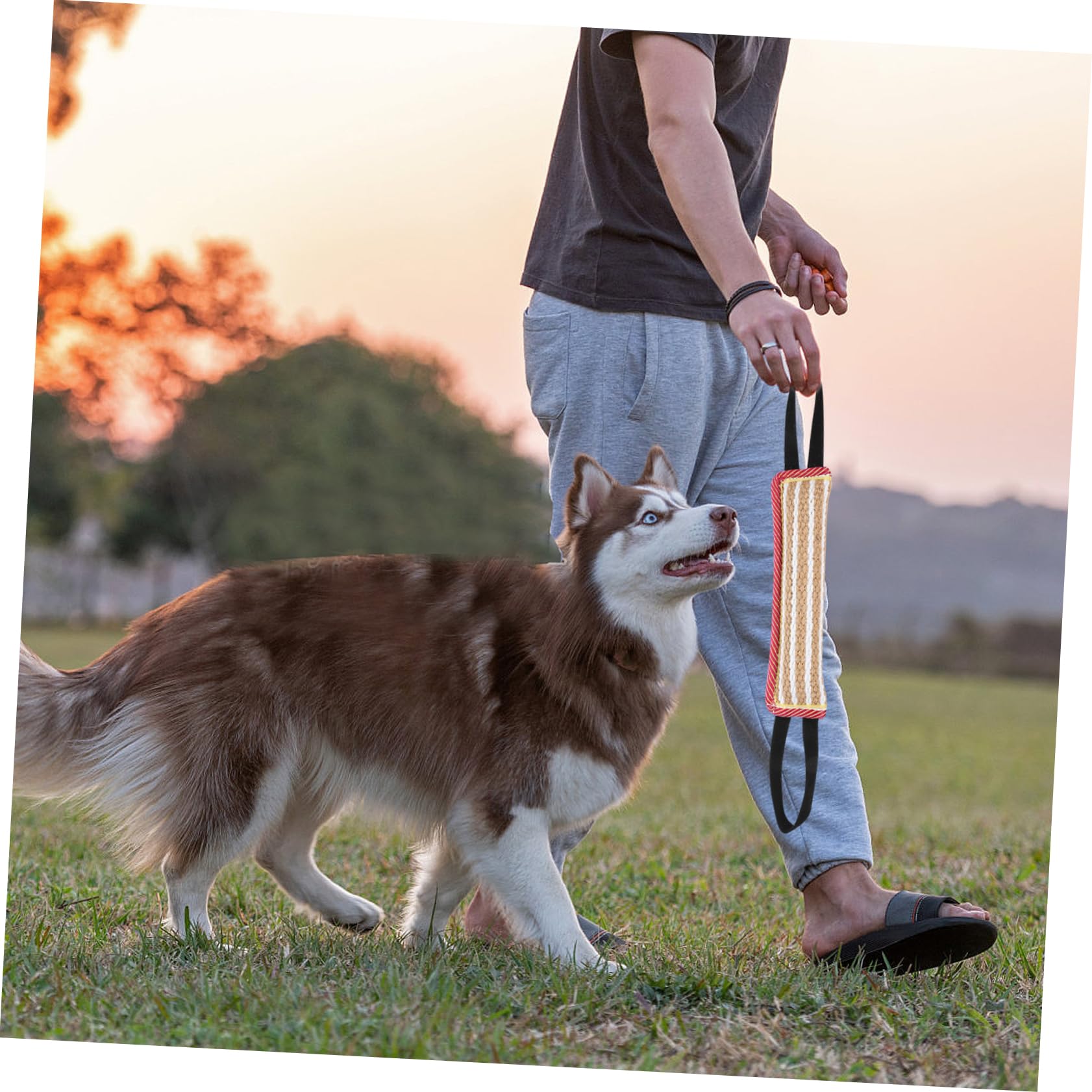 Happyyami Dog Training Bite Wedge Sturdy Jute Pillow for Dog Biting Interactive Toy for Puppy Play Molar Relief