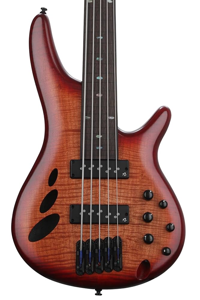 アイバニーズ フレットレス　SR5FMBLTD ブラウンバースト Amazon.com: Ibanez SR Bass Workshop Fretless 5-string