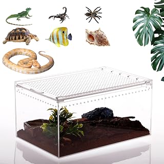 Magnetic Reptile Terrarium Tarantula Enclosure 12 x 8 x 6 in Reptile Enclosure Large Acrylic Reptiles Breeding Box for Snake,Hermit Crab,Frog Insect Tarantulas Amphibians