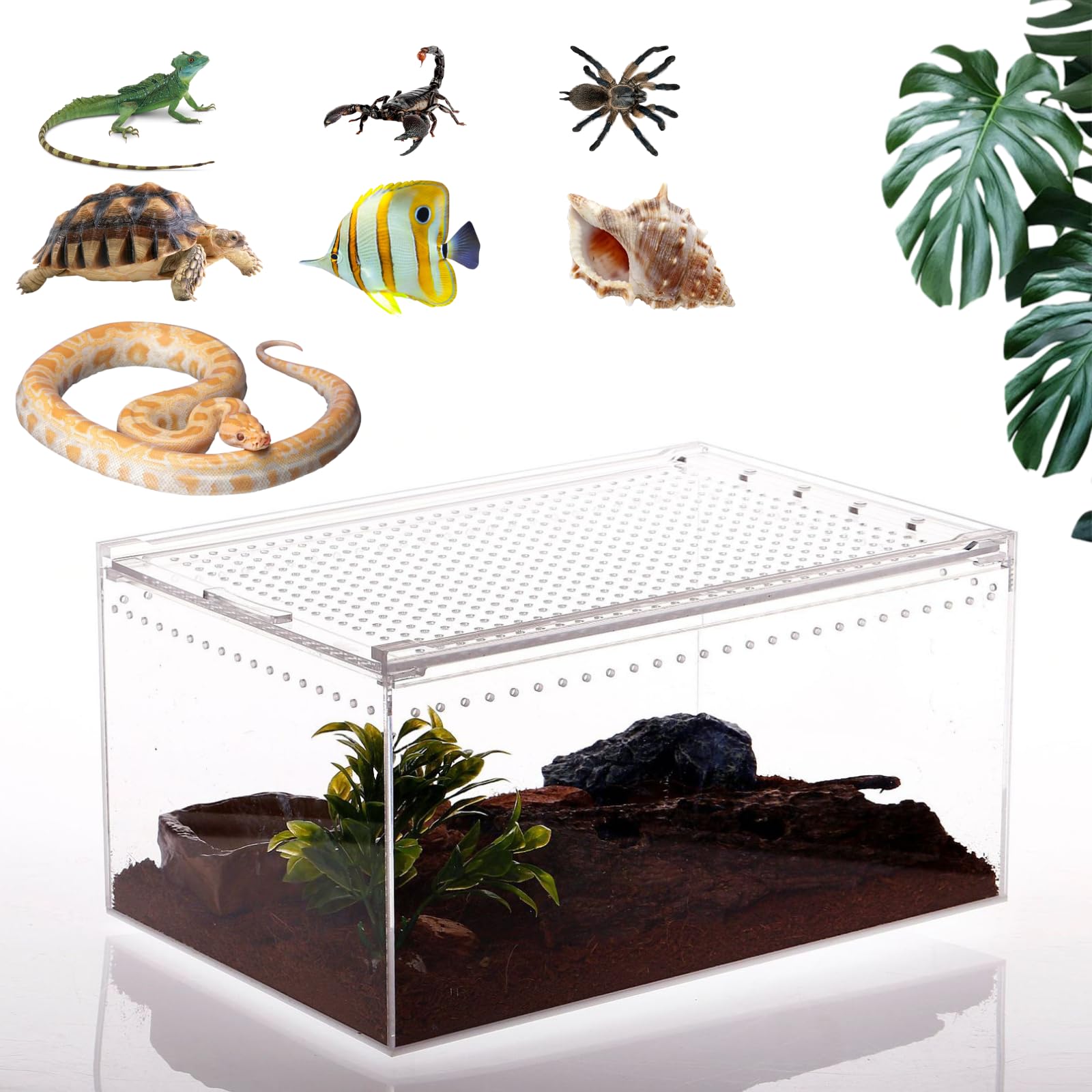 Magnetic Reptile Terrarium Tarantula Enclosure 12 x 8 x 6 in Reptile Enclosure Large Acrylic Reptiles Breeding Box for Snake,Hermit Crab,Frog Insect Tarantulas Amphibians