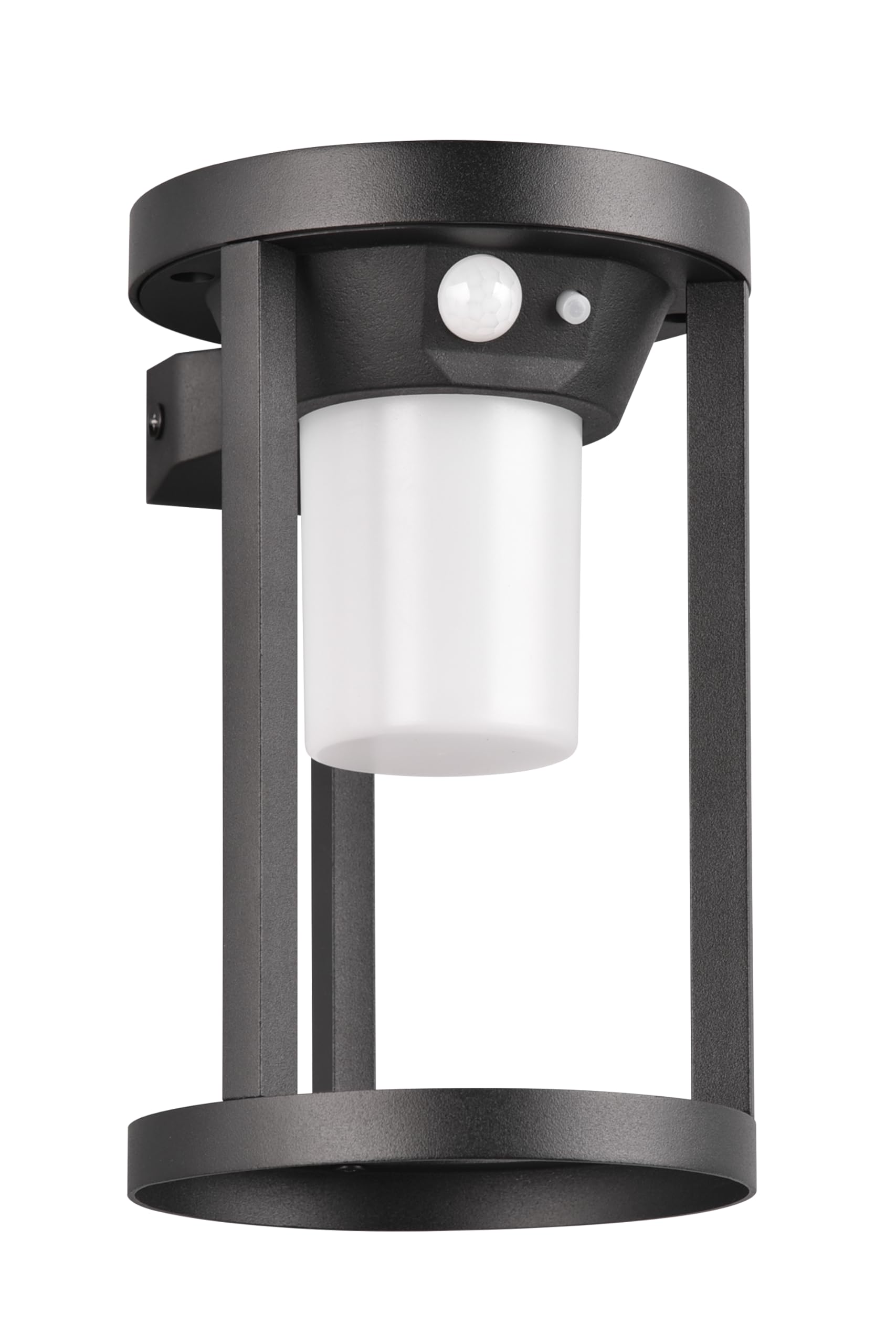 Applique solaire LED extérieur détecteur Trio Carmo pour sécuriser les zones sombres du jardin