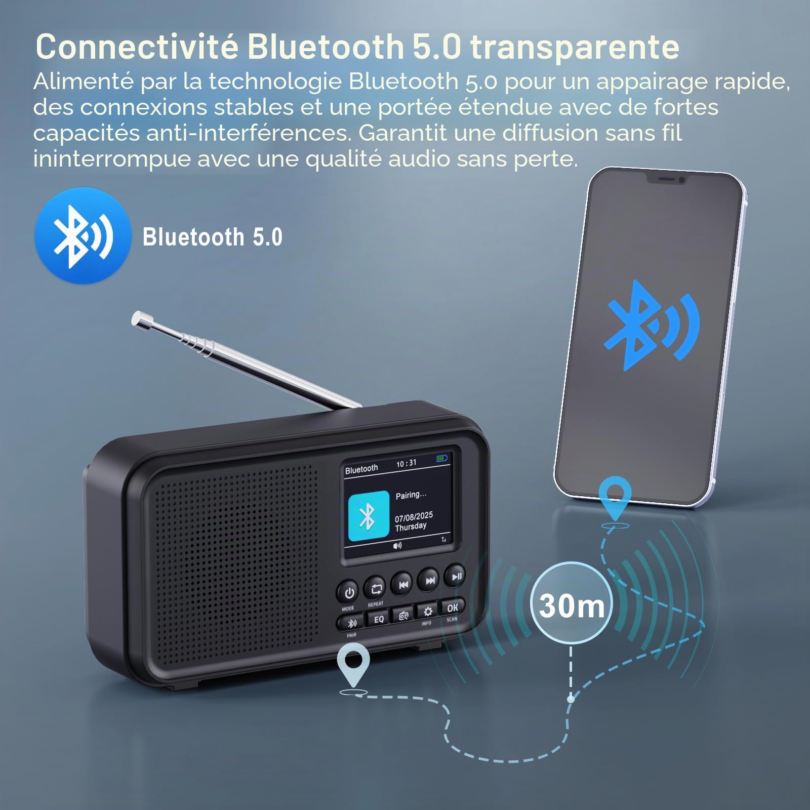 ROCAM Radio Portable Dab/Dab+/FM avec Bluetooth 5.0 & 3000mAh Batterie | 2,4" Écran Couleur Réveil Radio Rechargeable avec Deux Alarmes, 40 Dab/FM Stations Préréglées,12 Langues,TF Carte Emplacement
